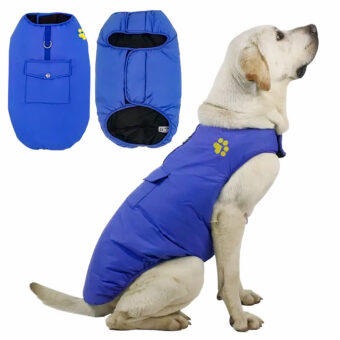 Golden retriever assis de coté sur un fond blanc portant une doudoune bleue avec une patte de chien jaune brodée près du col. A gauche, une photo de la doudoune de face avec ouverture et attaches velcro et une photo pour le verso de la doudoune avec une poche et une accroche en métal.